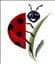 Ladybird